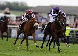 Allpanel Horse Racing